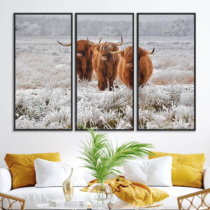 The Highland Cows in Snow canvas showcases three cattle in a frosty field.