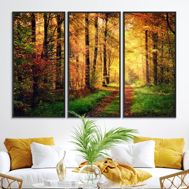 The Sunlight Through Trees Wall Art Canvas Print showcases a sunlit autumn forest and includes UV protection to ensure lasting vibrance.