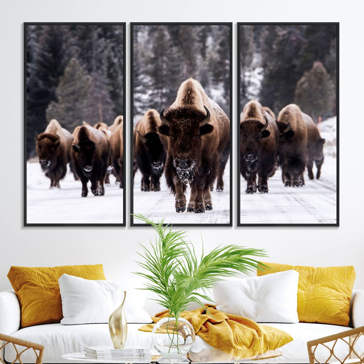 Bison Herd Canvas Wall Art.