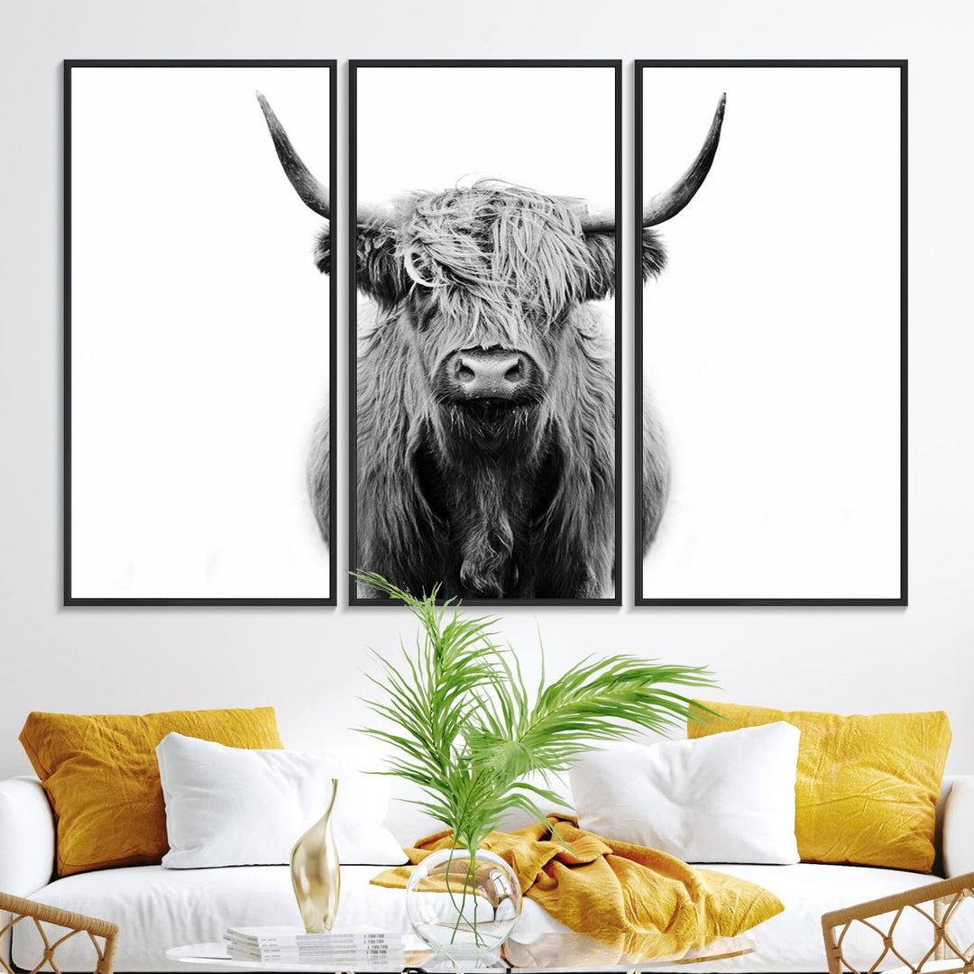 Highland Cow Canvas hanging prominently.