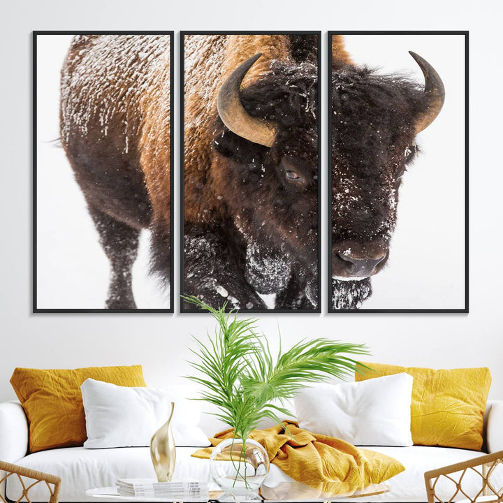 Bison Wall Art Canvas.