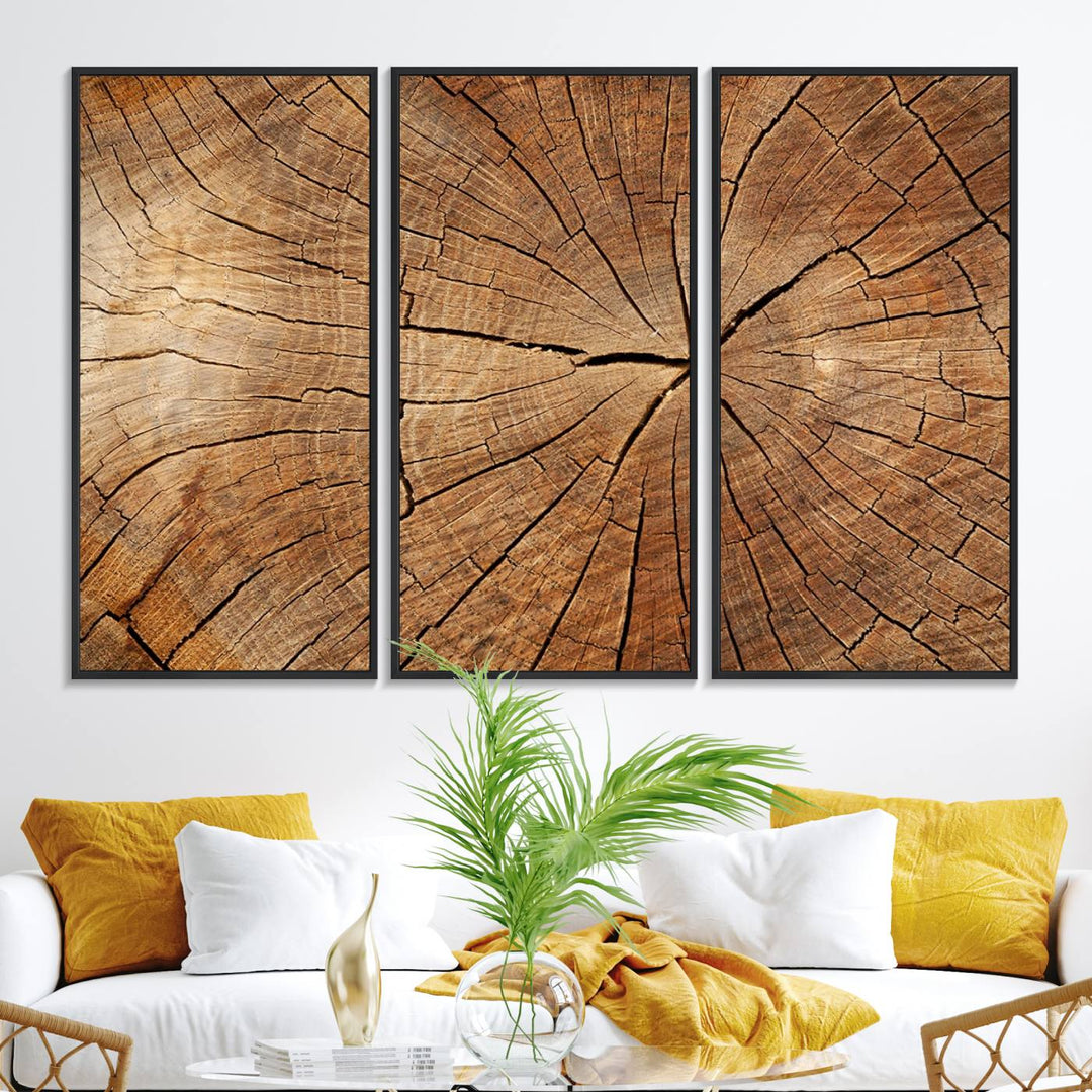 Tree Ring Canvas Art decorates a textured wall.