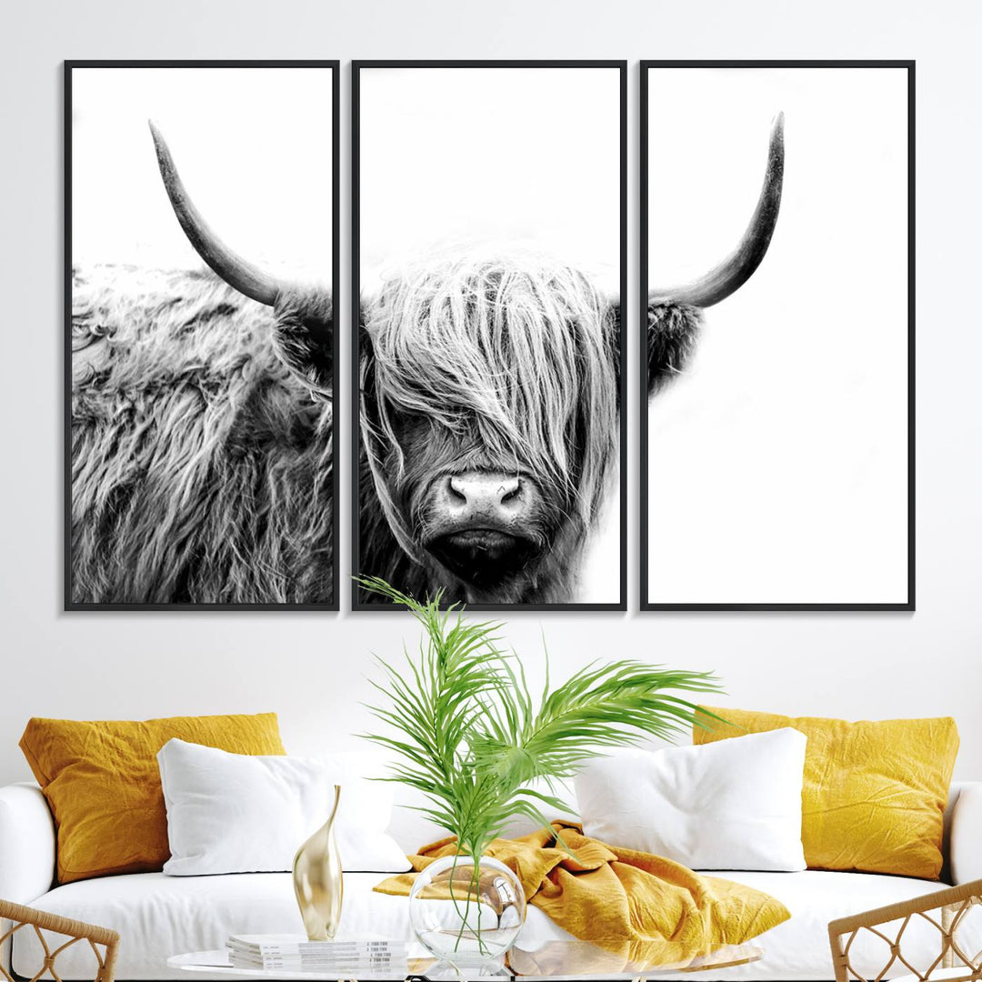 Framed Black and White Scottish Highland Cow Art Print.