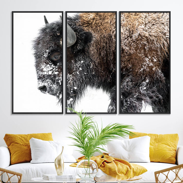 The American Bison Wall Art Print is prominently displayed on the wall.