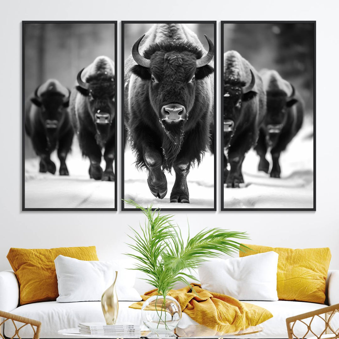 A black and white American Bison herd canvas print adorns the wall.