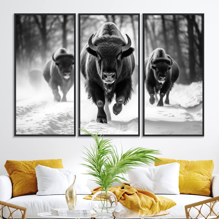 The Buffalo Wall Art Canvas Print of bison running through snow adorns the wall.