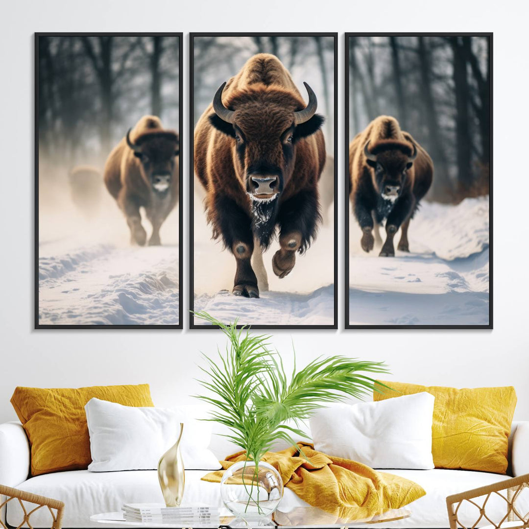 Wall art titled Cow Bighorn shows three bison running through snow in a forest.