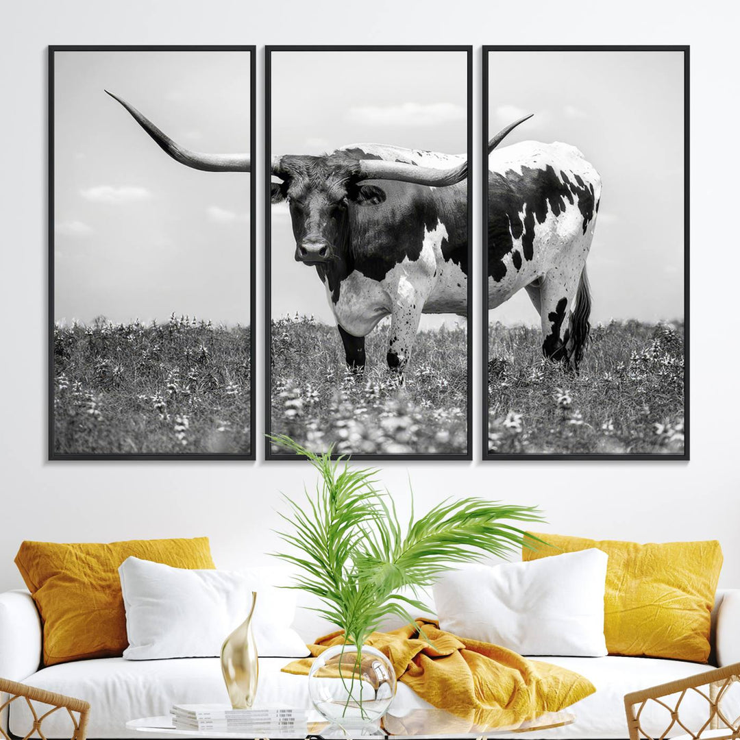 Texas Black White Highland Longhorn Cow Wall Art Canvas displayed on the wall.