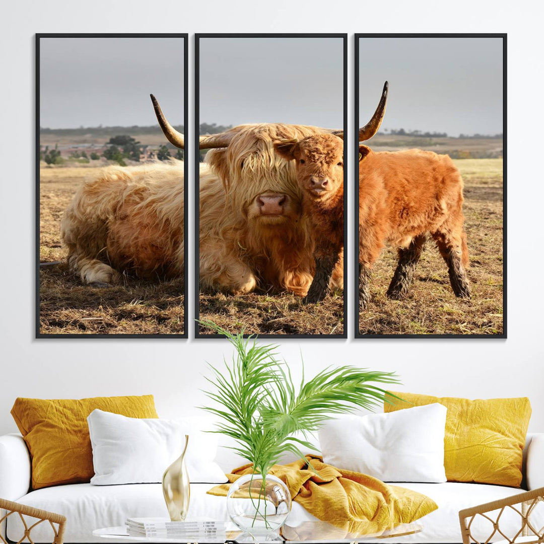 Highland Cow Canvas: a light brown cow and calf in the field, ideal farmhouse decor.