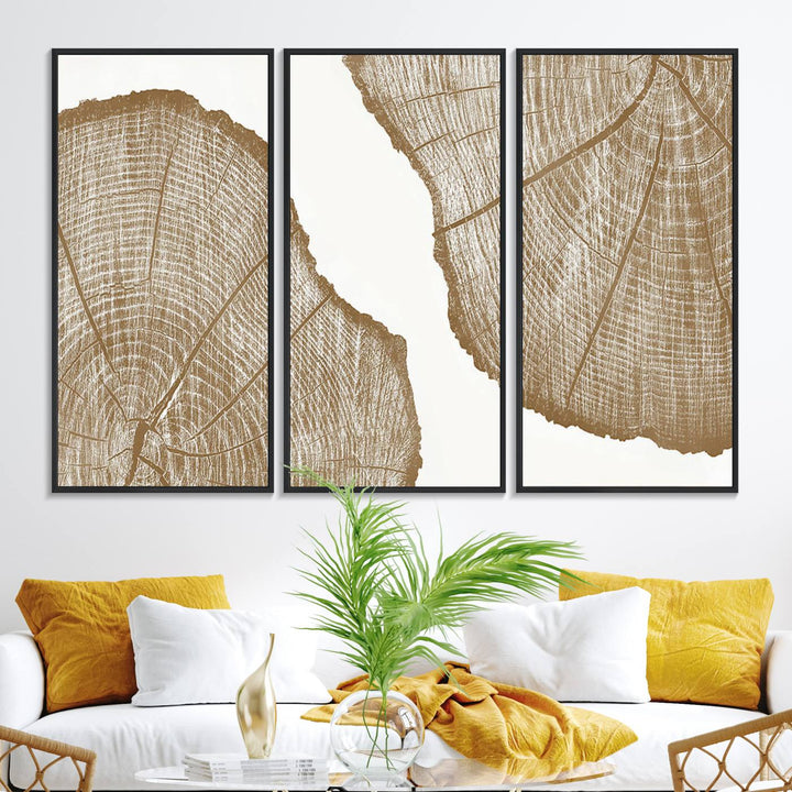 The rustic wall art features two large tree rings, beautifully framed and displayed to create a nature-inspired décor.