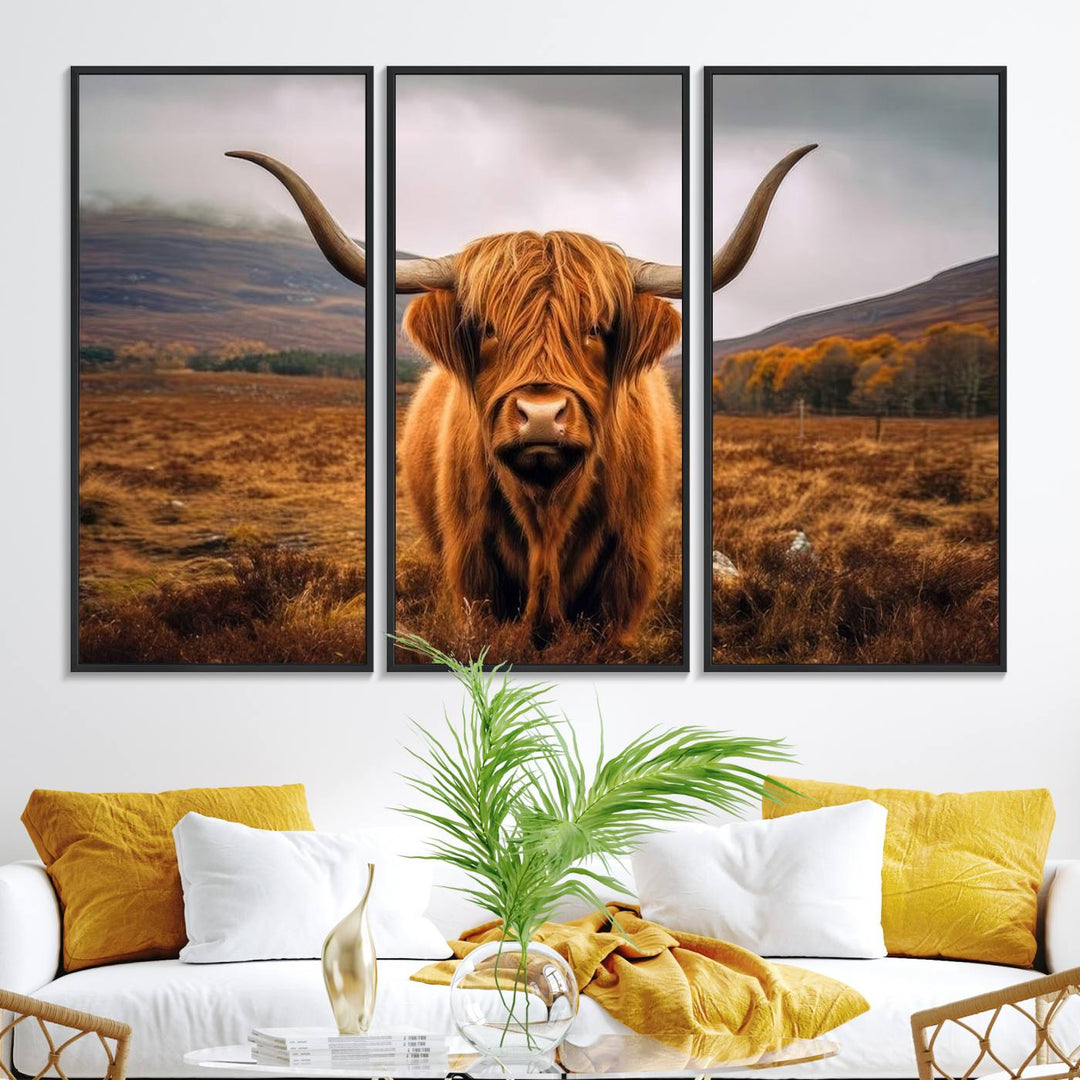 Highland Cow Longhorn Canvas Print, framed, on a wooden wall.