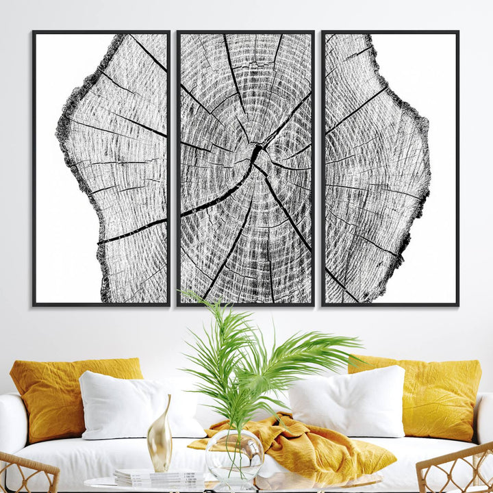 Black and white tree ring art print.