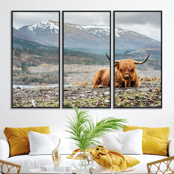 Highland Cow Horn Farm Wall Art Canvas Print is displayed against a wooden wall featuring a mountainous backdrop.