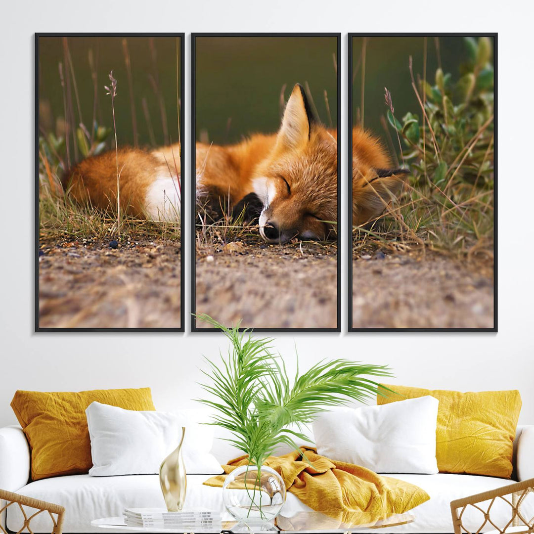 The Sleeping Fox Wall Art Canvas Print is ideal for farmhouse decor.