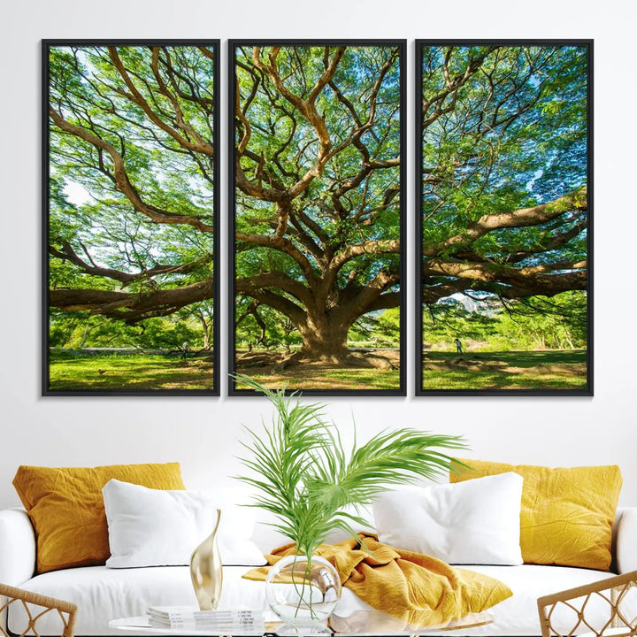 The Angel Oak Tree Wall Art, a multi-panel canvas print showcasing a large tree with sprawling branches and green leaves in a style reminiscent of the majestic Angel Oak Tree, elegantly adorns the wooden wall in the living room.