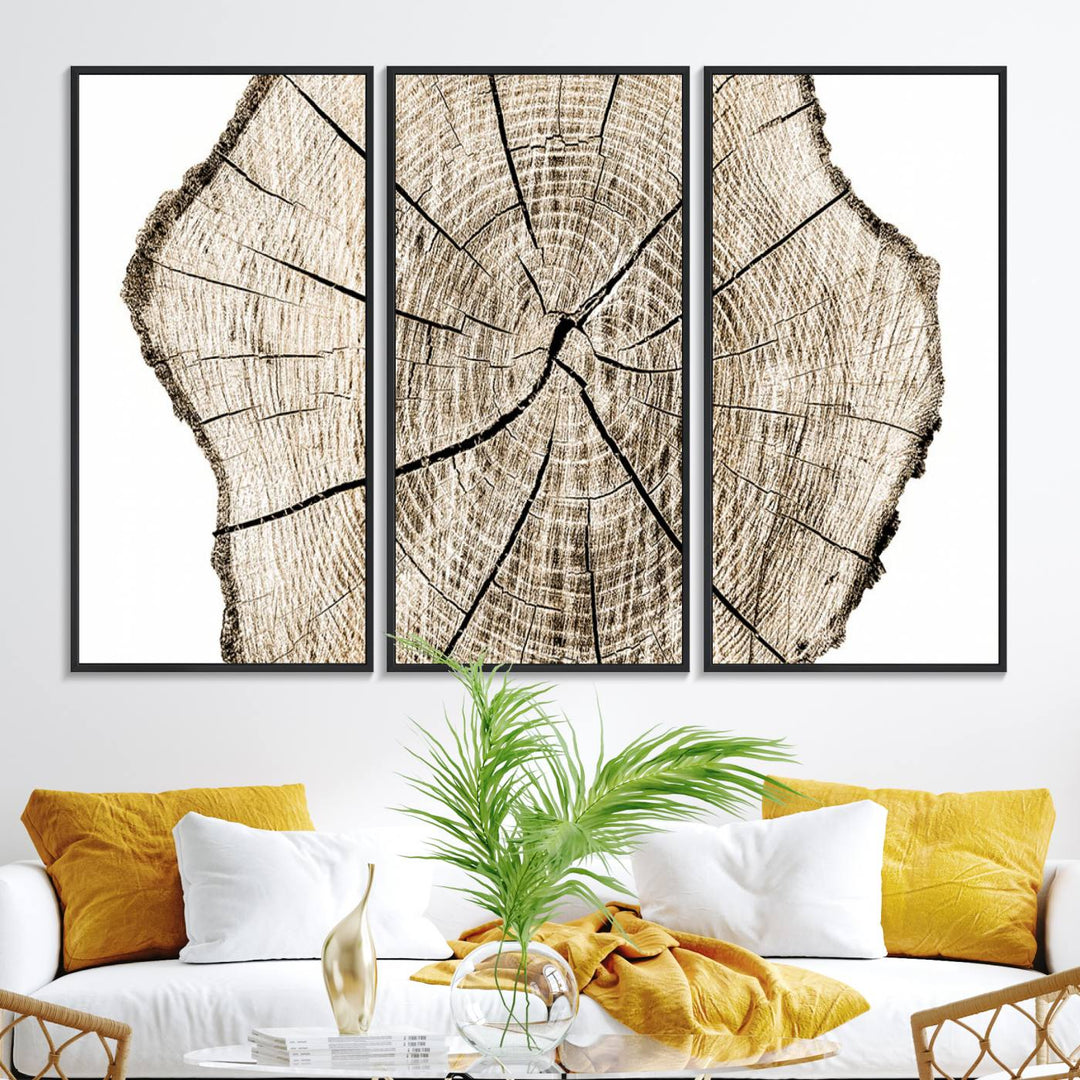 The Abstract Wood Tree Ring Wall Art set of 3 adds a minimalist touch to the space.