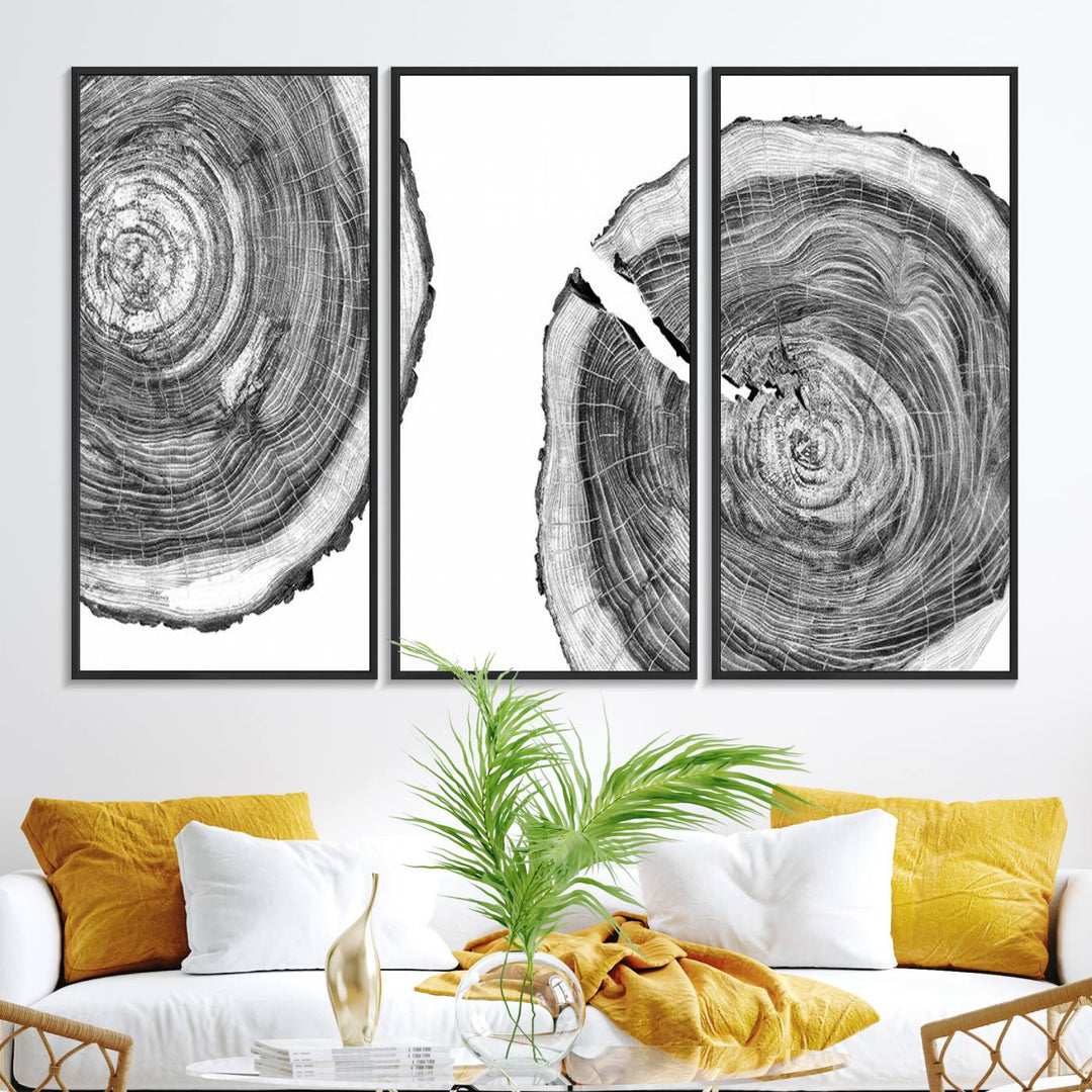 The modern black and white tree rings canvas art adds minimalist geometric decor with nature inspiration.