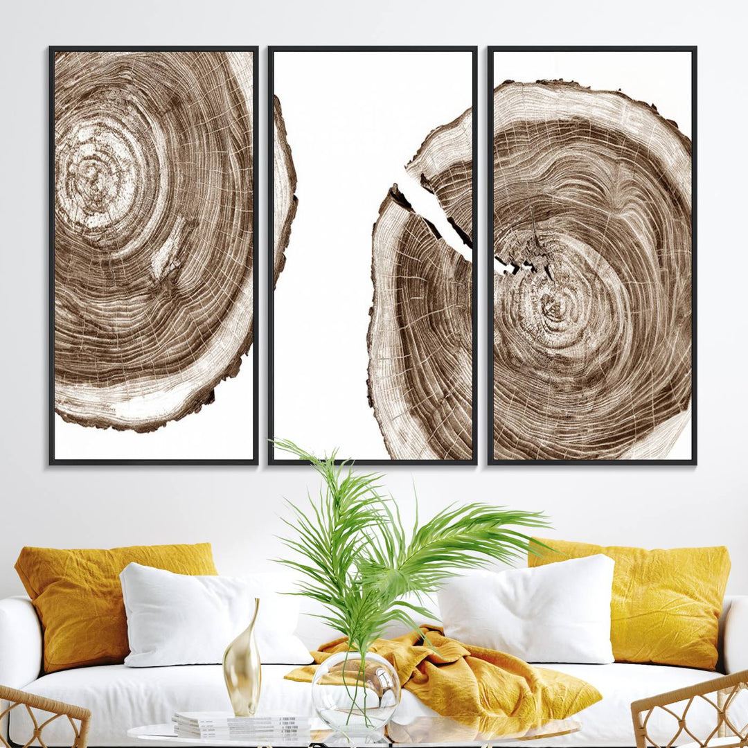 Wood Tree Ring Wall Art on a minimalist black and white canvas.