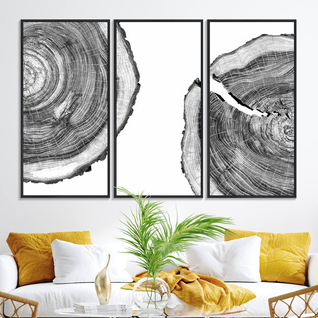 The minimalist art piece Abstract Large Tree Rings on canvas creates a striking focal point.