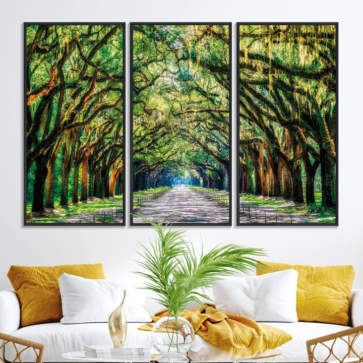 The Serene Tree Tunnel Canvas Print decorates the wall.