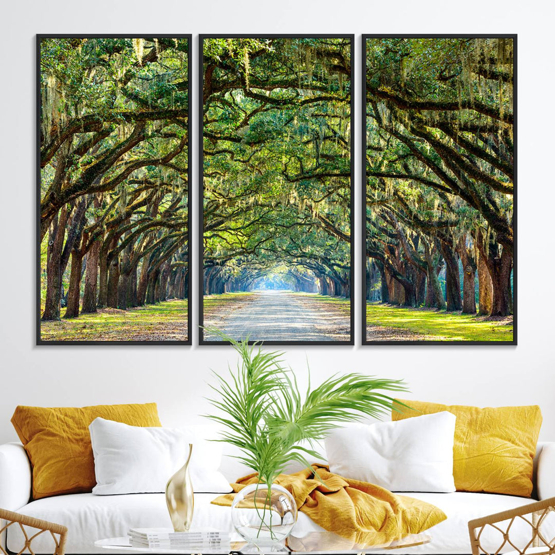 Wormsloe State Plantation Driveway Wall Art shines with Southern charm.