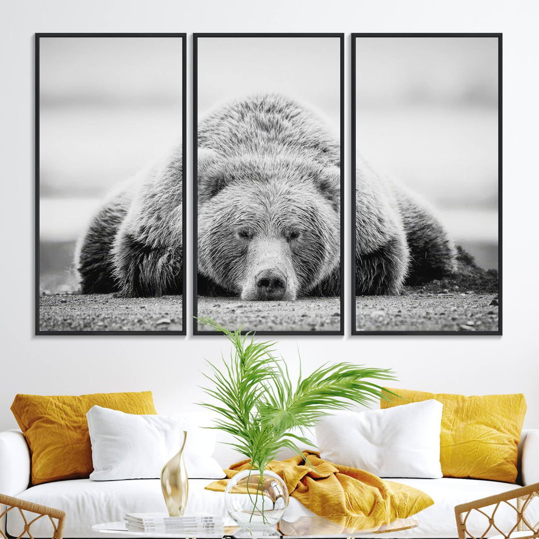 Resting Grizzly Bear wall art displayed in a modern room.