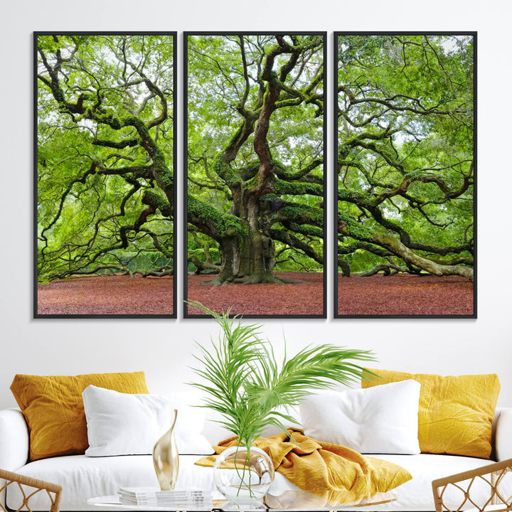 Framed Angel Oak Tree Wall Art: Large 3-panel green nature canvas, ready to hang.