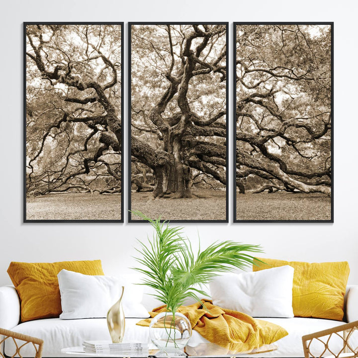 Displayed on the wall is a Sepia-framed Angel Oak Tree 3-panel canvas.