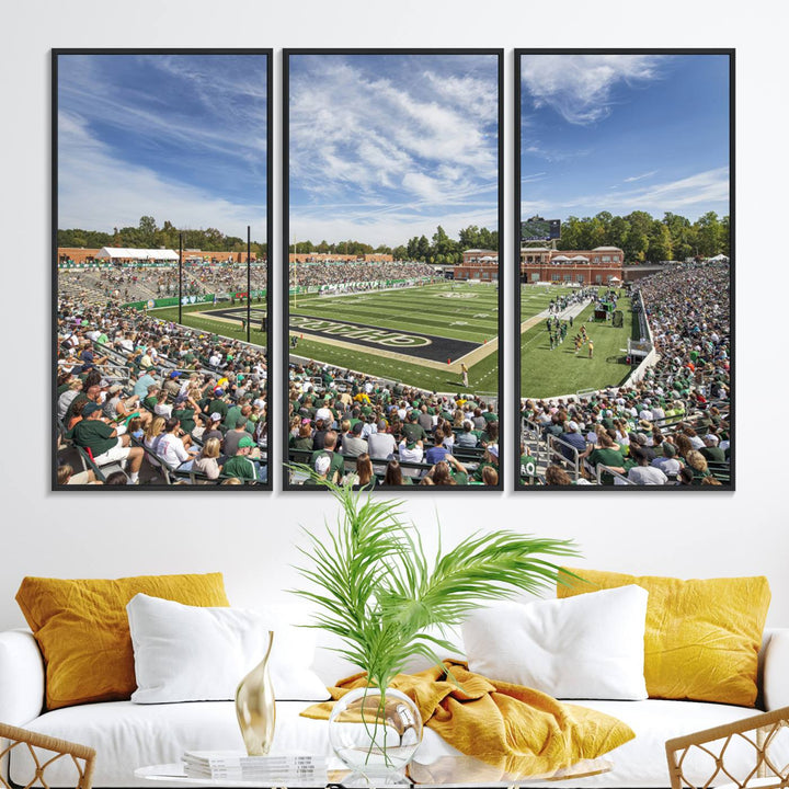 The University of Charlotte 49ers stadium print adds flair to a modern living room wall with its vibrant scene and clear sky.