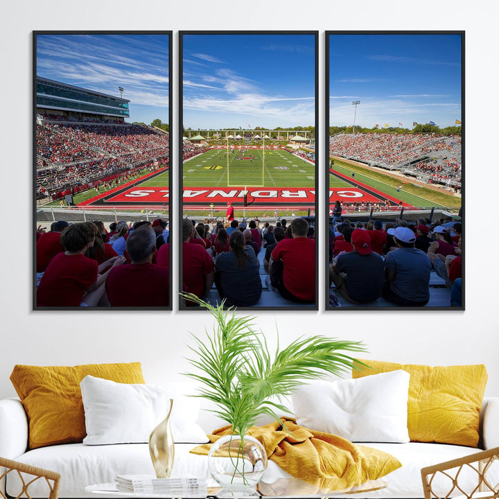 The Ball State Cardinals wall art on canvas depicts fans in red at Scheumann Stadium.