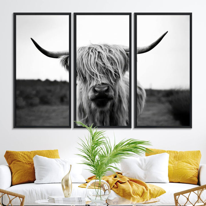 The Highland Cow Wall Art, a black and white farmhouse decor piece showcased as a triptych canvas print, graces a dark wall with its long-haired Scottish Highland cattle art print exuding rustic barn aesthetic.