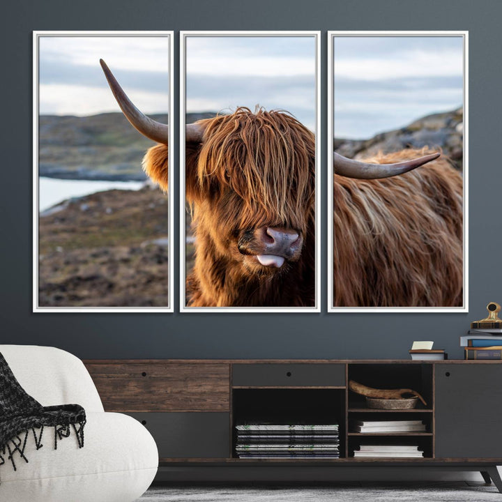 The Cuddly Highland Cow Canvas hangs, adding charm with its shaggy elegance.