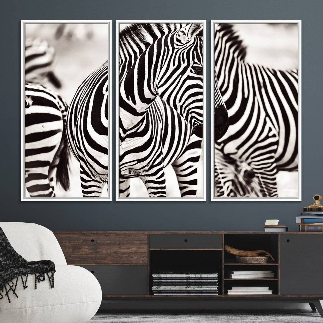 The Brilliant Zebra Photography Art Canvas Print hangs prominently on the wall.