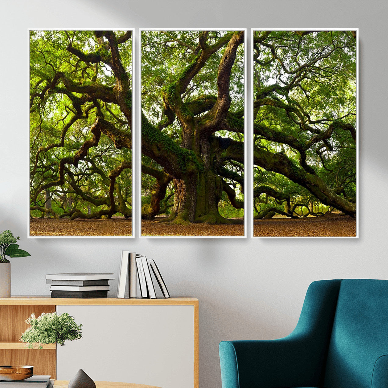 Angel Oak Tree Wall Art Canvas Print | Forest Tree Nature