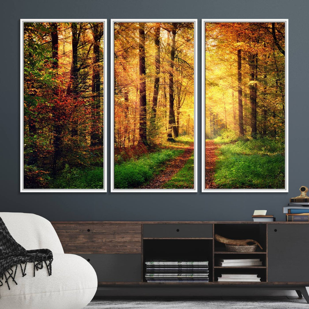 The Sunlight Through Trees Wall Art Canvas Print showcases a sunlit autumn forest and includes UV protection to ensure lasting vibrance.