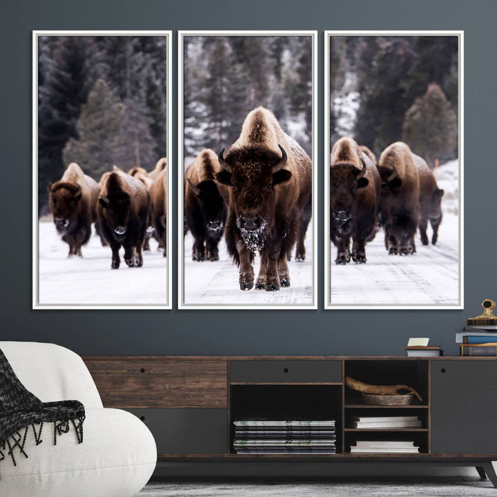 Bison Herd Canvas Wall Art.