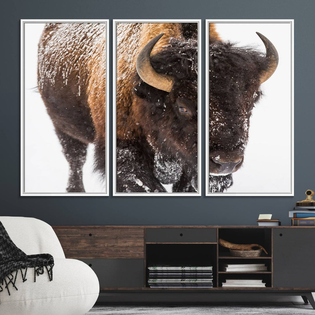 Bison Wall Art Canvas.