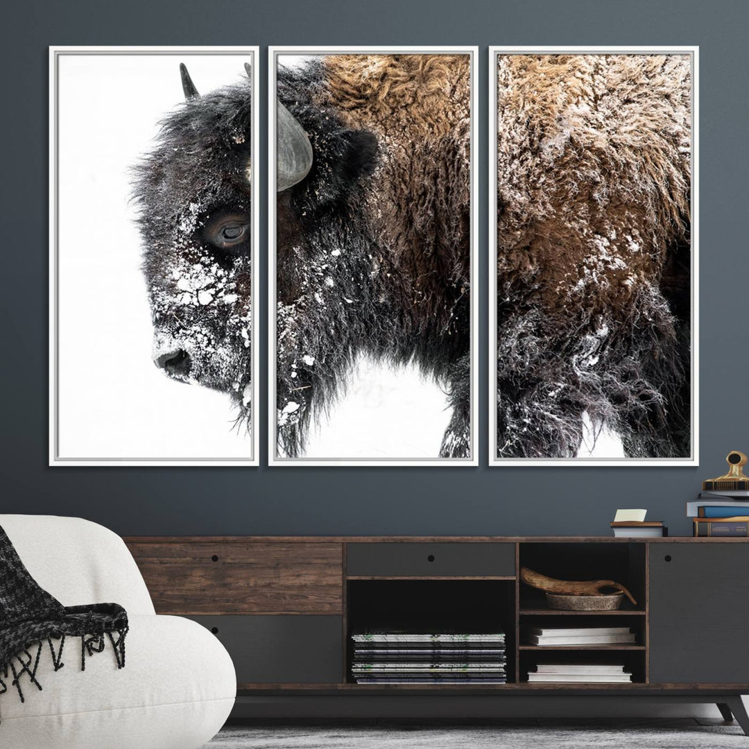 The American Bison Wall Art Print is prominently displayed on the wall.