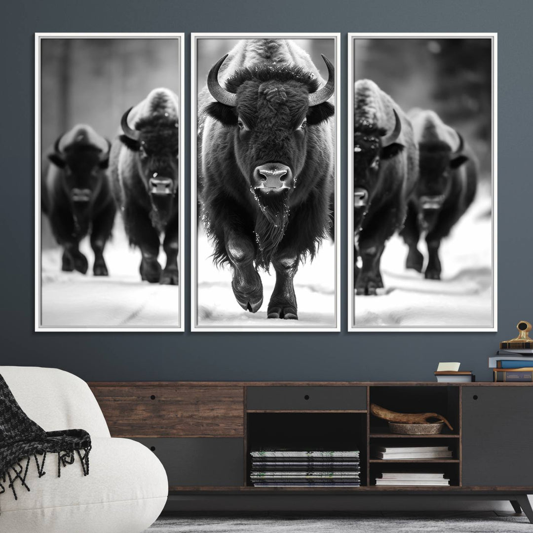 A black and white American Bison herd canvas print adorns the wall.