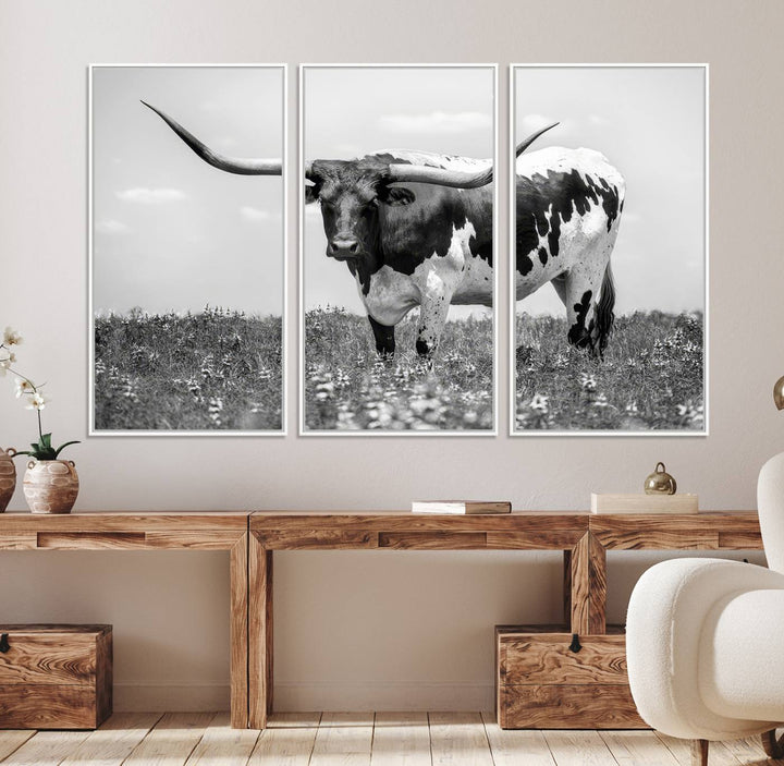 Texas Black White Highland Longhorn Cow Wall Art Canvas displayed on the wall.