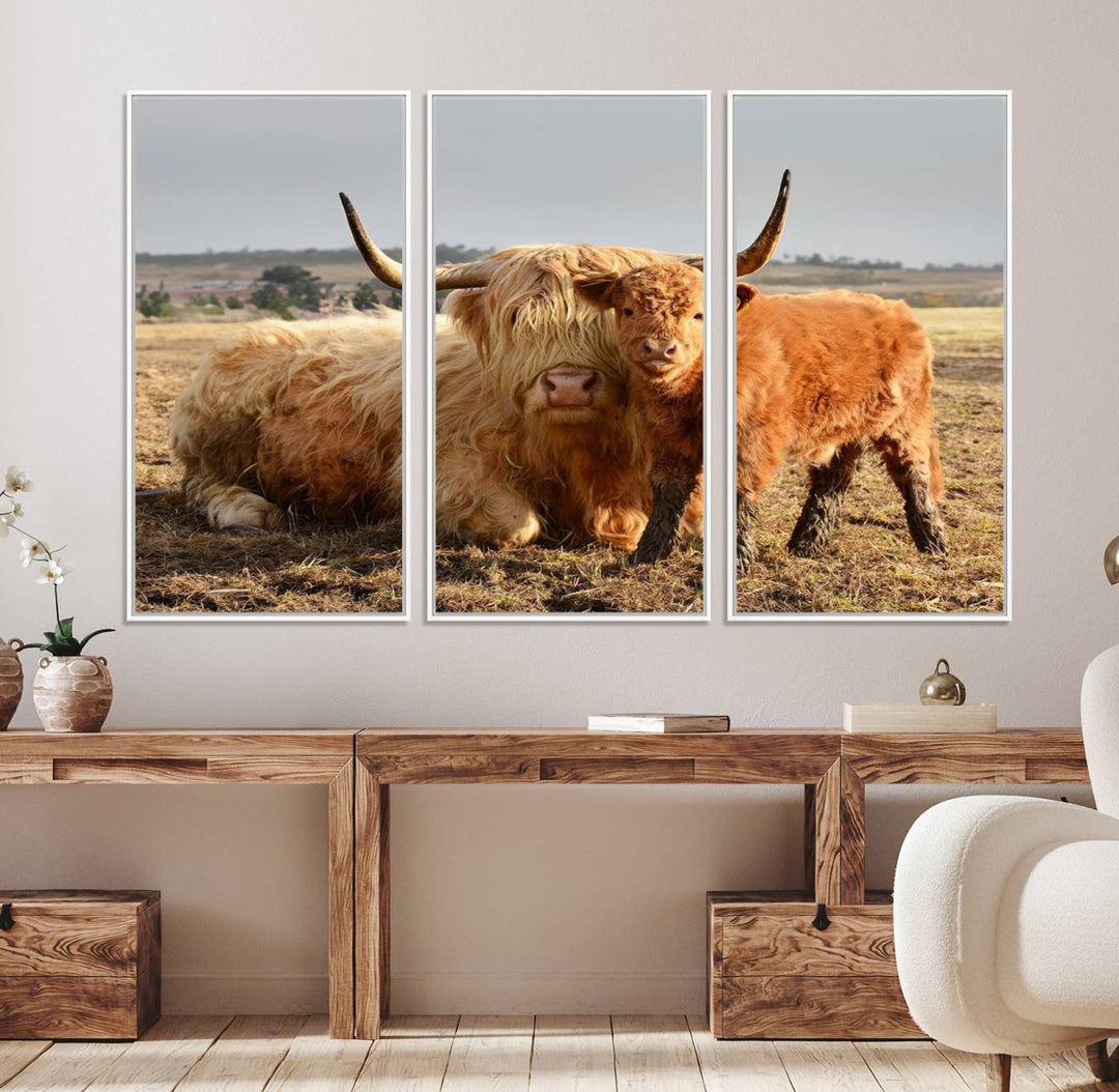 Highland Cow Canvas: a light brown cow and calf in the field, ideal farmhouse decor.