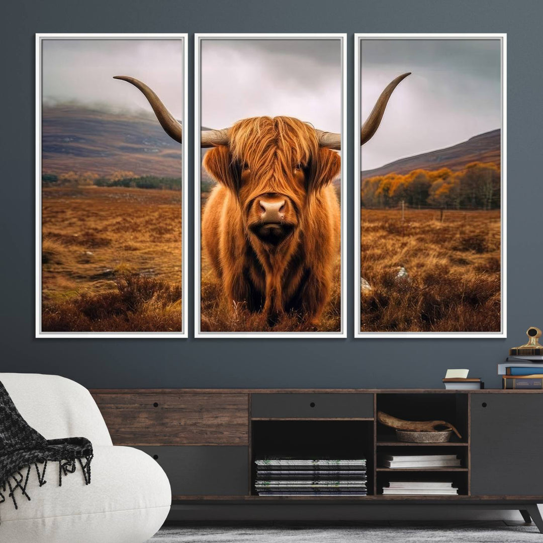 Highland Cow Longhorn Canvas Print, framed, on a wooden wall.