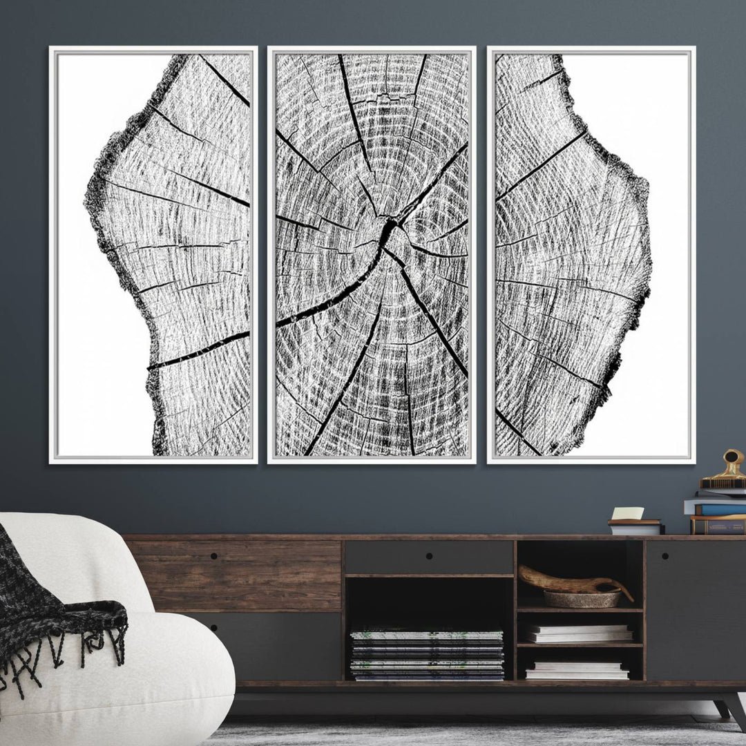 Black and white tree ring art print.