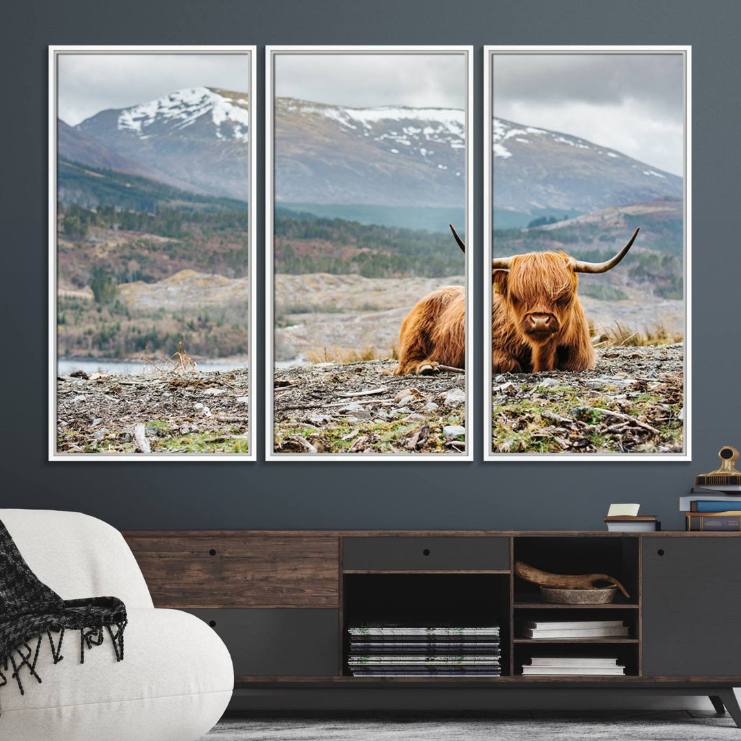 Highland Cow Horn Farm Wall Art Canvas Print is displayed against a wooden wall featuring a mountainous backdrop.