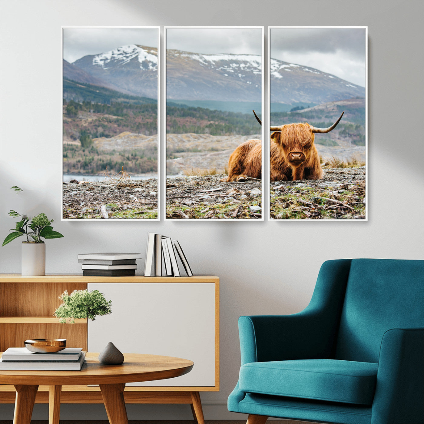 -Highland Cow Horn Farm Wall Art Canvas Print
