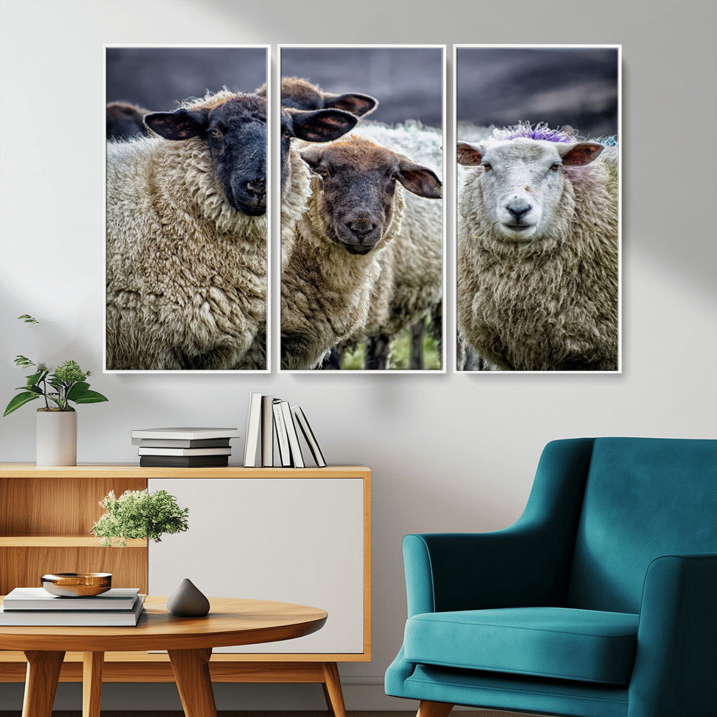 -Charming Sheep Portrait Wall Art – Trio of Woolly Companions Canvas Print, Framed, Ready to Hang