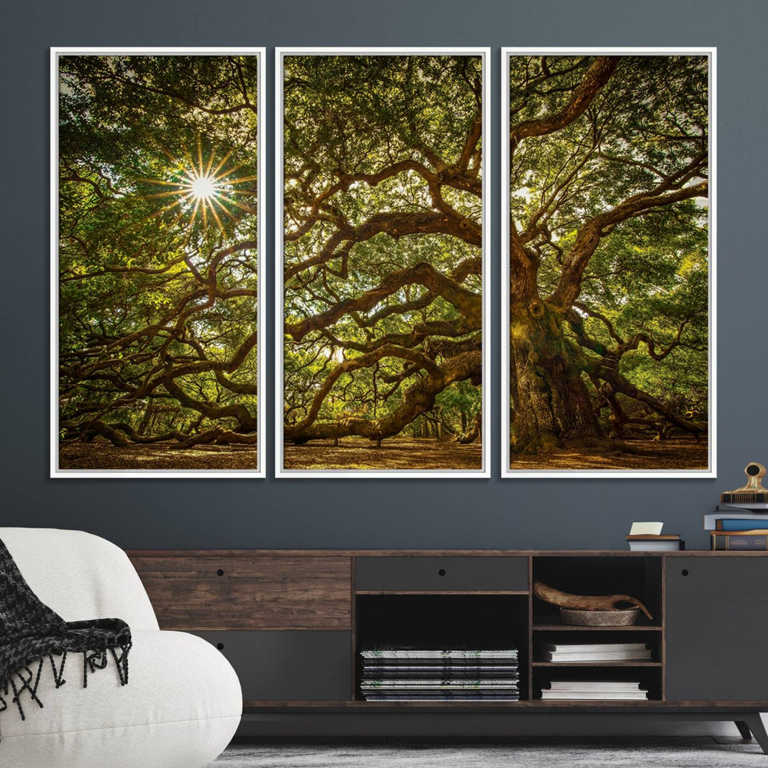 The Ancient Angel Oak Tree Art Sunburst Canvas Print, a framed triptych, serves as wall art.