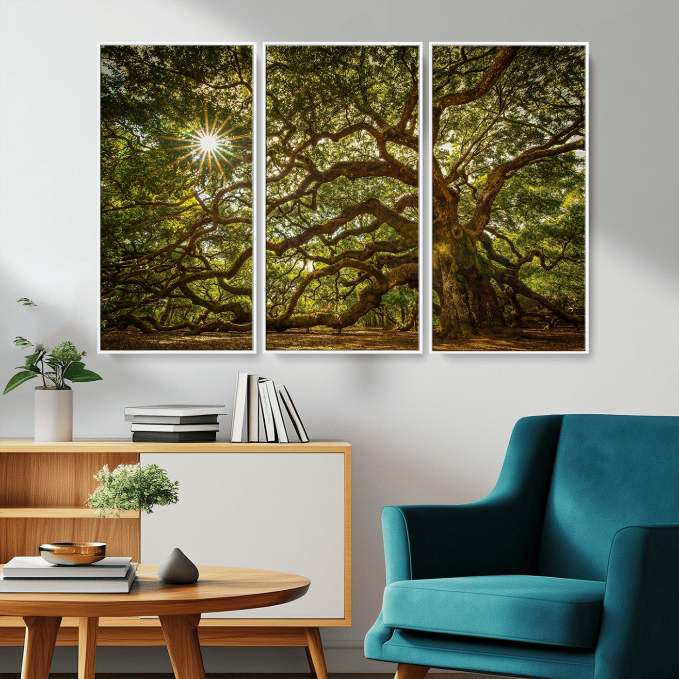 MGV-FC-48X32-3P - Ancient Angel Oak Tree Art Sunburst Canvas Print- Nature-Inspired Triptych Canvas Print, Framed, Ready to Hang
