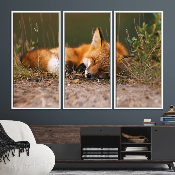 The Sleeping Fox Wall Art Canvas Print is ideal for farmhouse decor.