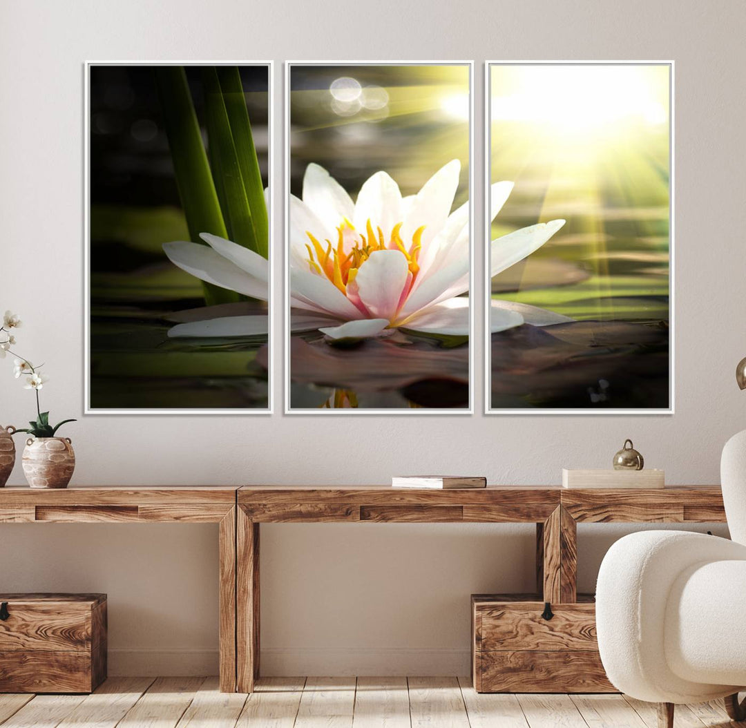 The Lotus Flower Wall Art Canvas Print showcases a white water lily with a yellow center floating gracefully in sunlight.